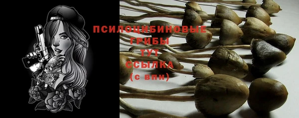 каннабис Новодвинск