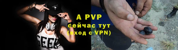 скорость Новозыбков