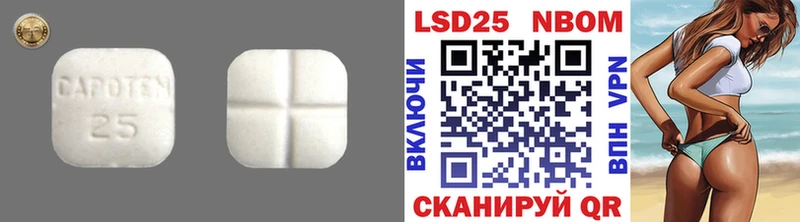 где купить наркоту  Калтан  Лсд 25 экстази кислота 