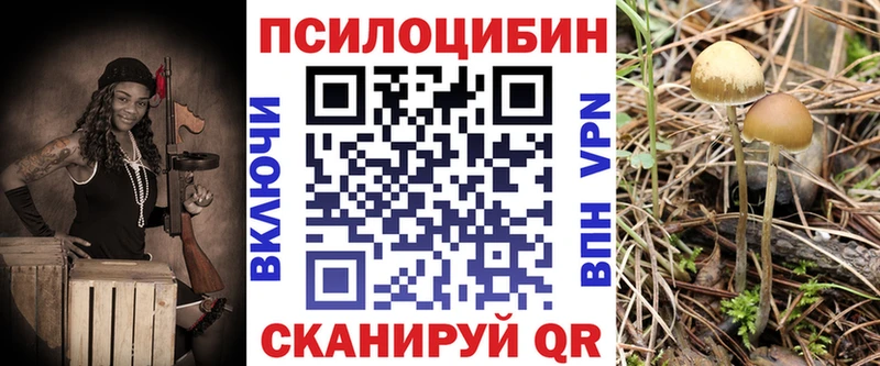 даркнет как зайти  Калтан  Галлюциногенные грибы MAGIC MUSHROOMS  сколько стоит  мега  